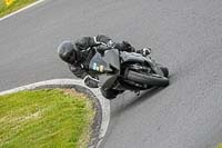 Evening Low_Mid Group Black Bikes